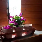 Apartamento Salvezani *