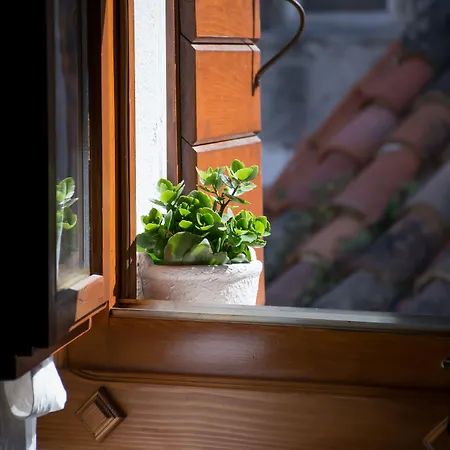 萨乌扎尼公寓酒店 公寓 斯普利特