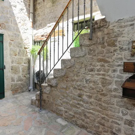 Salvezani *