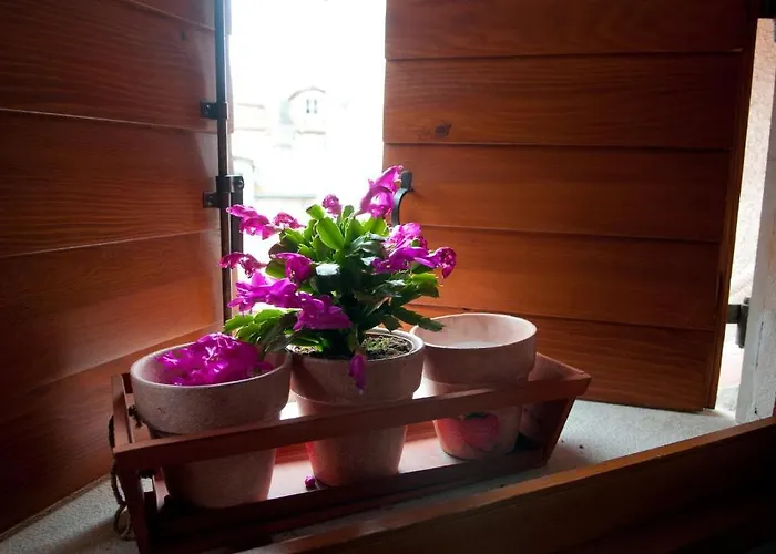 아파트 아파트먼트 살베자니 *